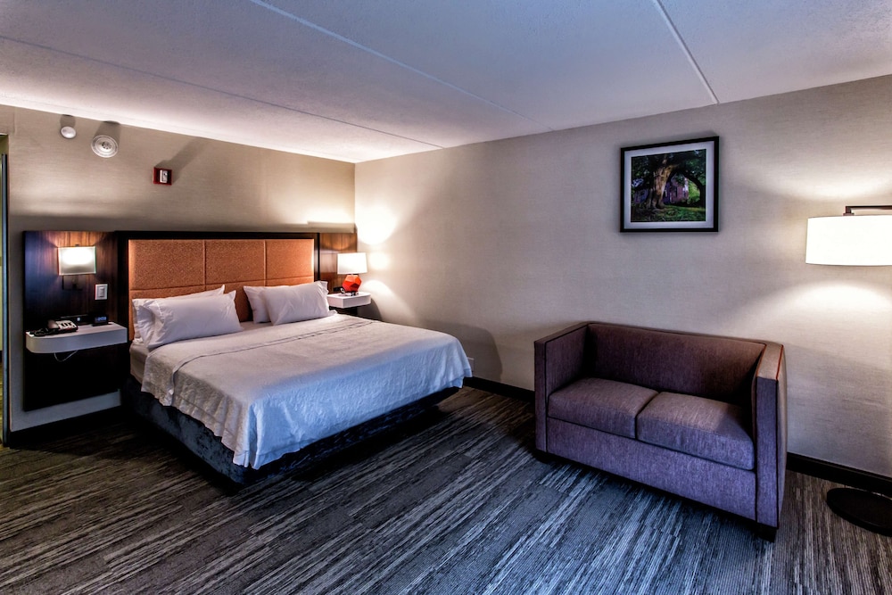 Room, 1 King Bed, Accessible, Non Smoking - Photo 4