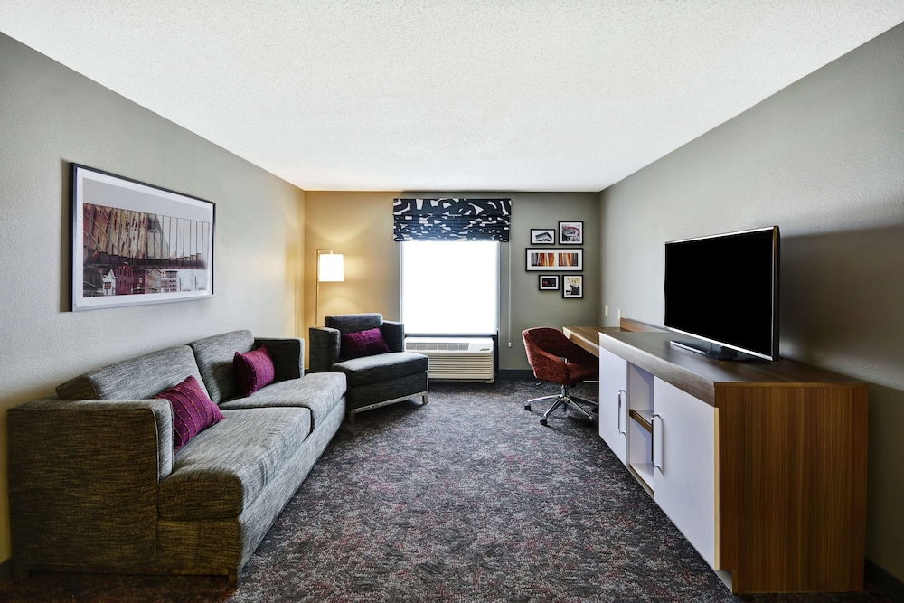 Suite, 1 King Bed with Sofa bed - Photo 1