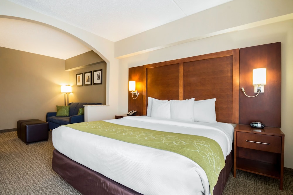 Suite, 1 King Bed, Non Smoking