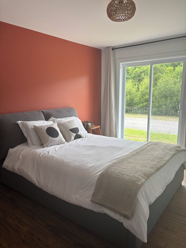 Standard Single Room, 1 Queen Bed, Patio photo 2