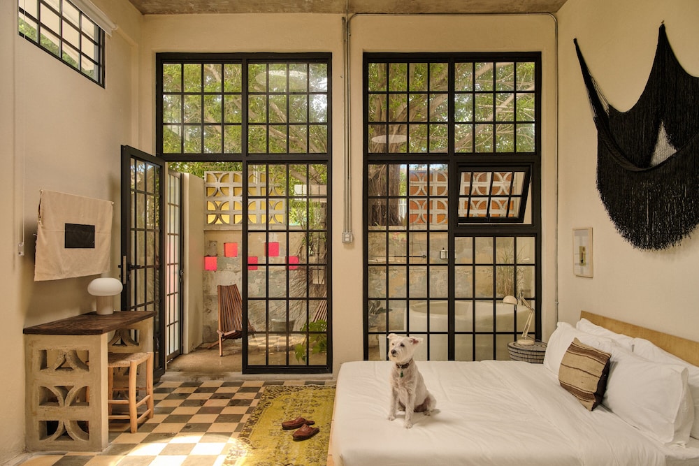 Design Loft