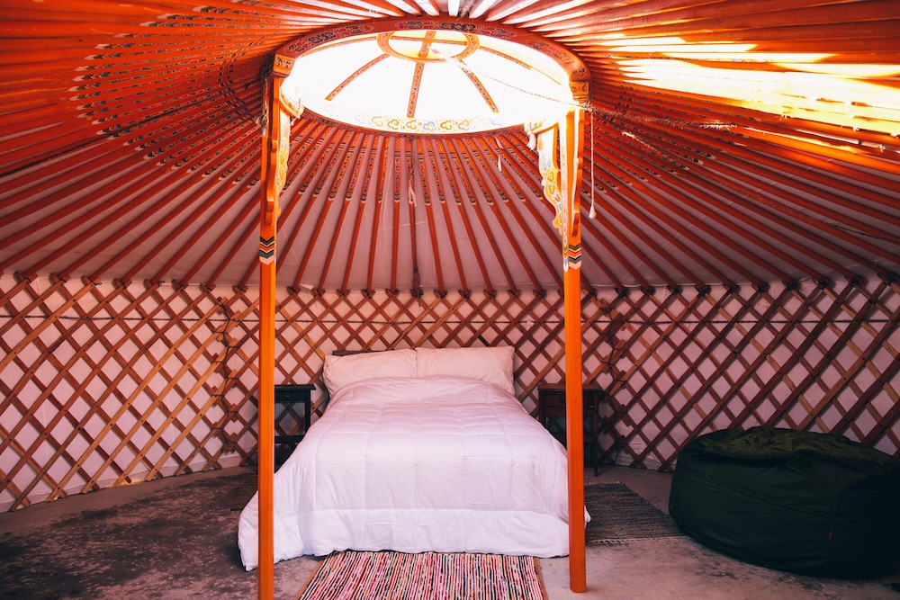Stargazing Yurt No.6 photo 3