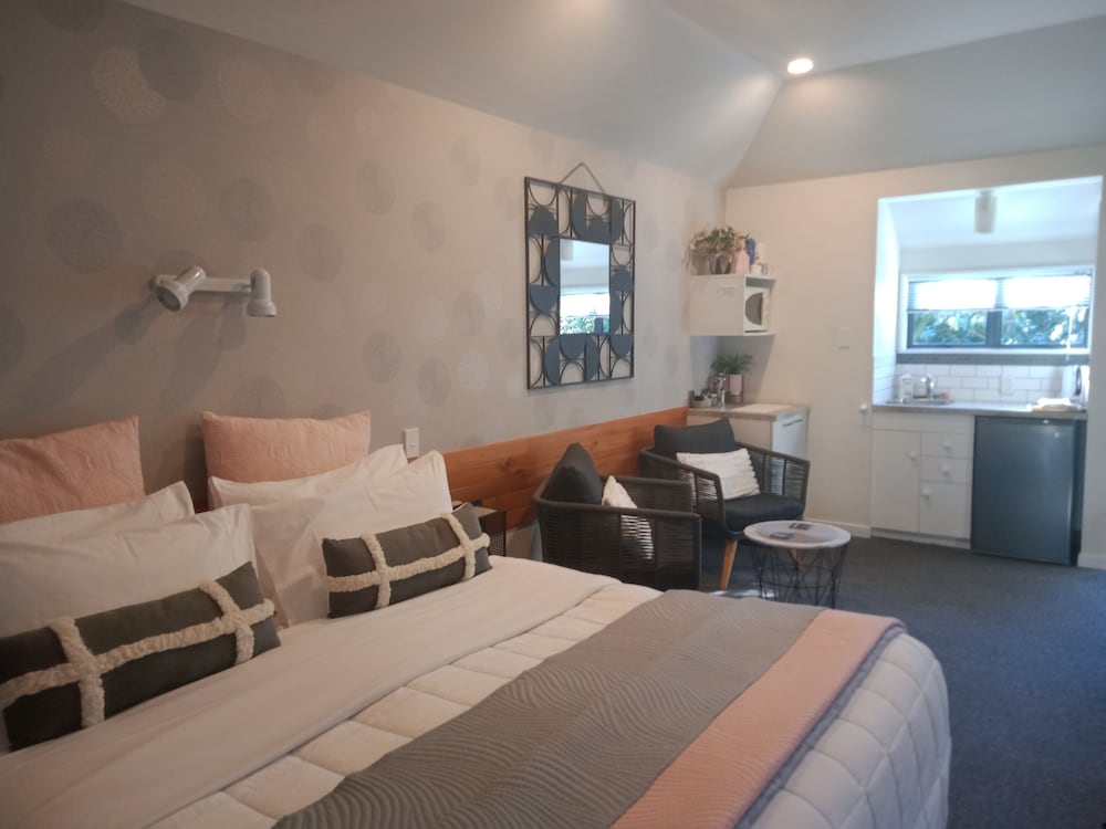 Deluxe Studio, 1 King Bed, Non Smoking, Kitchenette photo 3