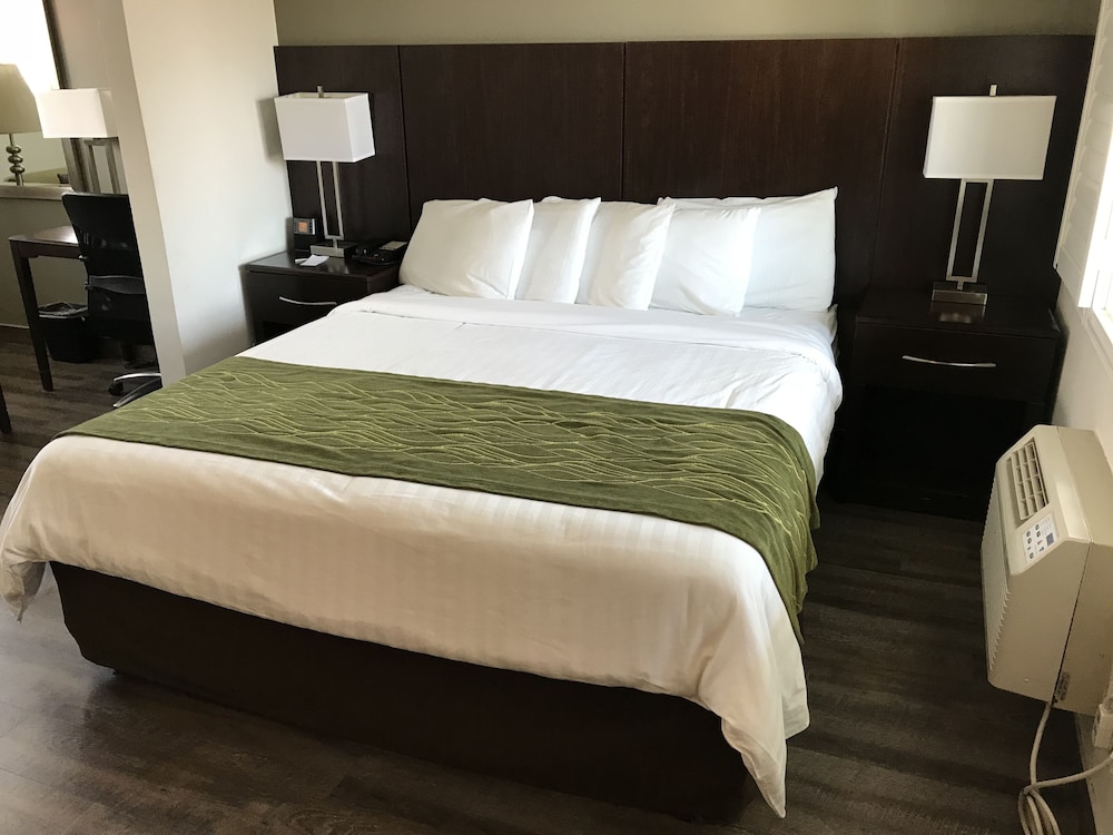 Deluxe Room, 1 King Bed