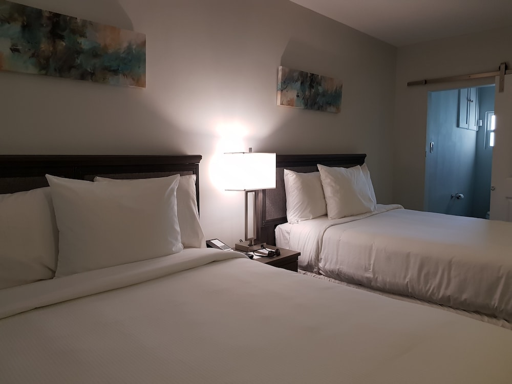 Comfort Twin Room, 2 Double Beds