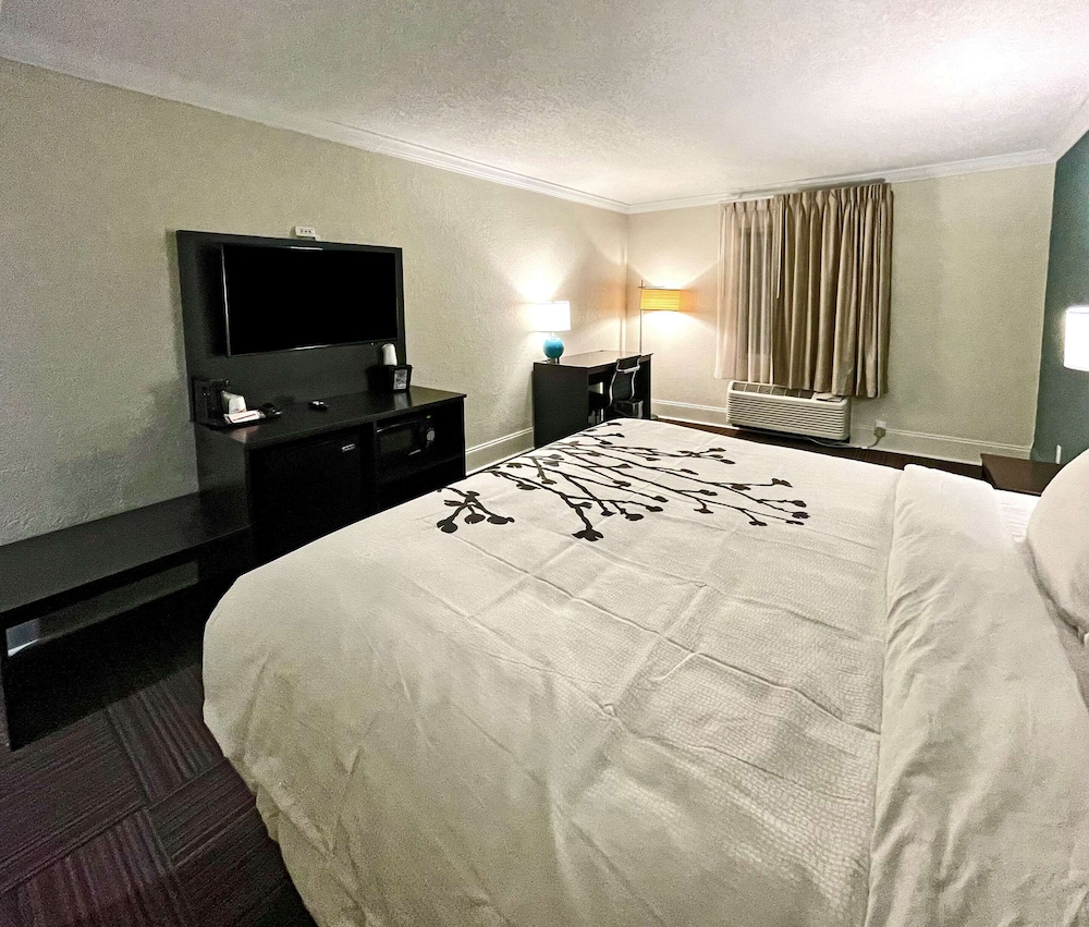 Suite, 1 King Bed with Sofa bed photo 3