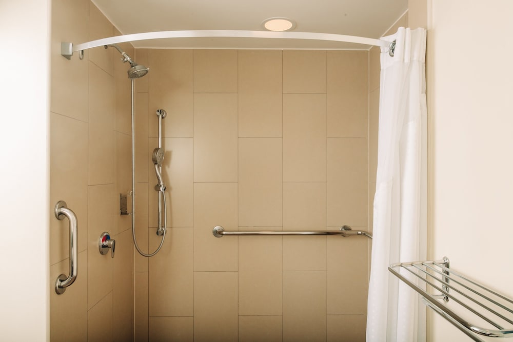 Standard Room, 1 King Bed, Accessible (Roll-In Shower) - Photo 5