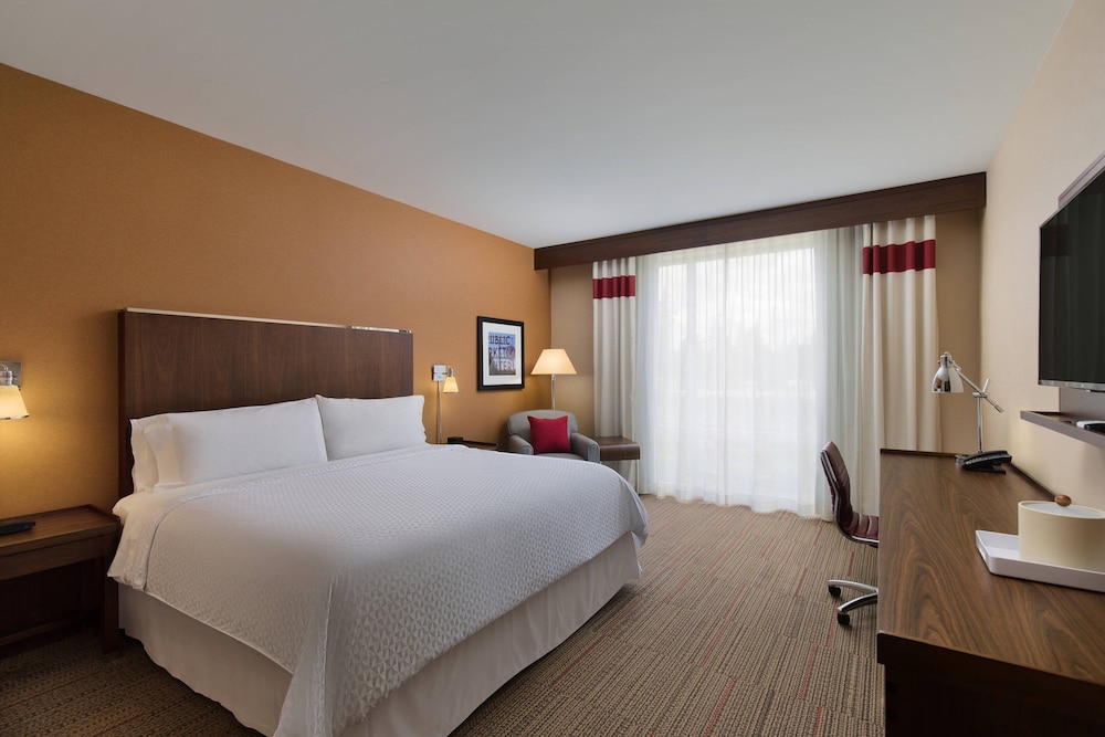 Room, 1 King Bed (Hearing Accessible) photo 1