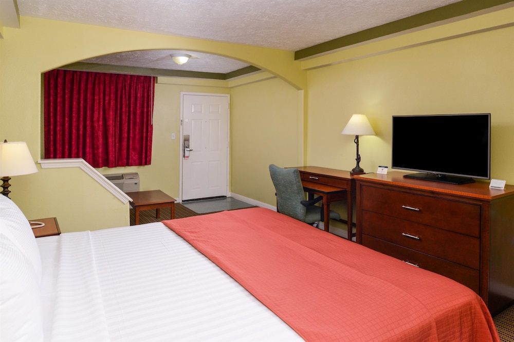 Suite, 1 King Bed, Smoking - Photo 3