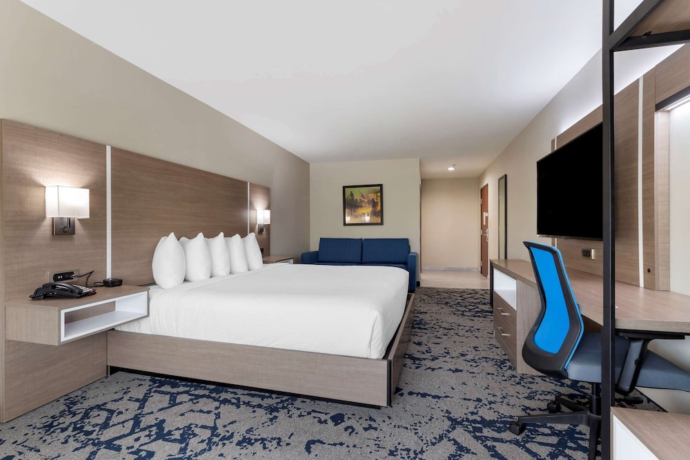 Room, 1 King Bed, Accessible, Non Smoking (Roll-in shower) - Photo 1