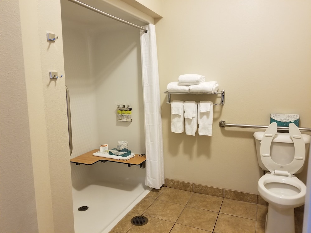Studio, 1 Queen Bed, Roll-in Shower (Comm, Mobil Roll In Shwr) - Photo 4