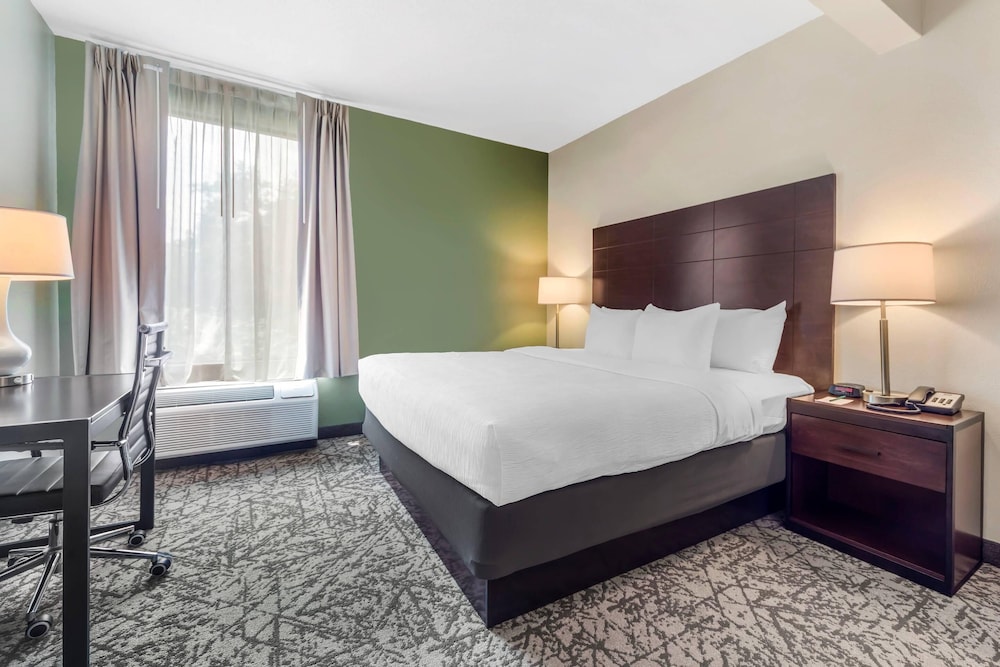 Business Room, 1 King Bed with Sofa bed, Non Smoking