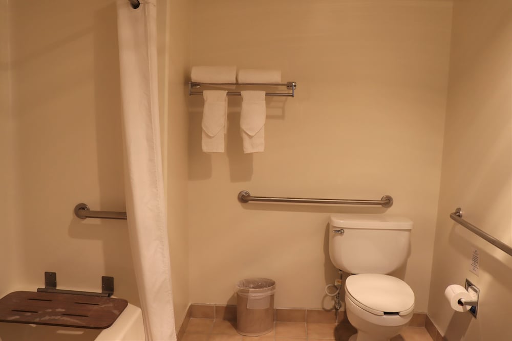 Room, 1 Queen Bed, Accessible (Studio Accessible Room (No Pets)) - Photo 4