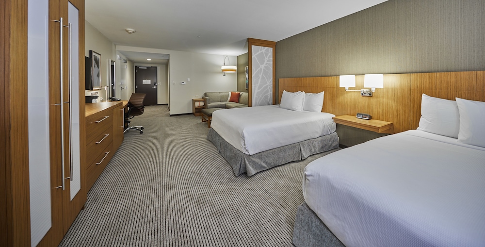 Suite, 1 Bedroom, Accessible (Shower, 1 King Bed and Sofa Bed) photo 1