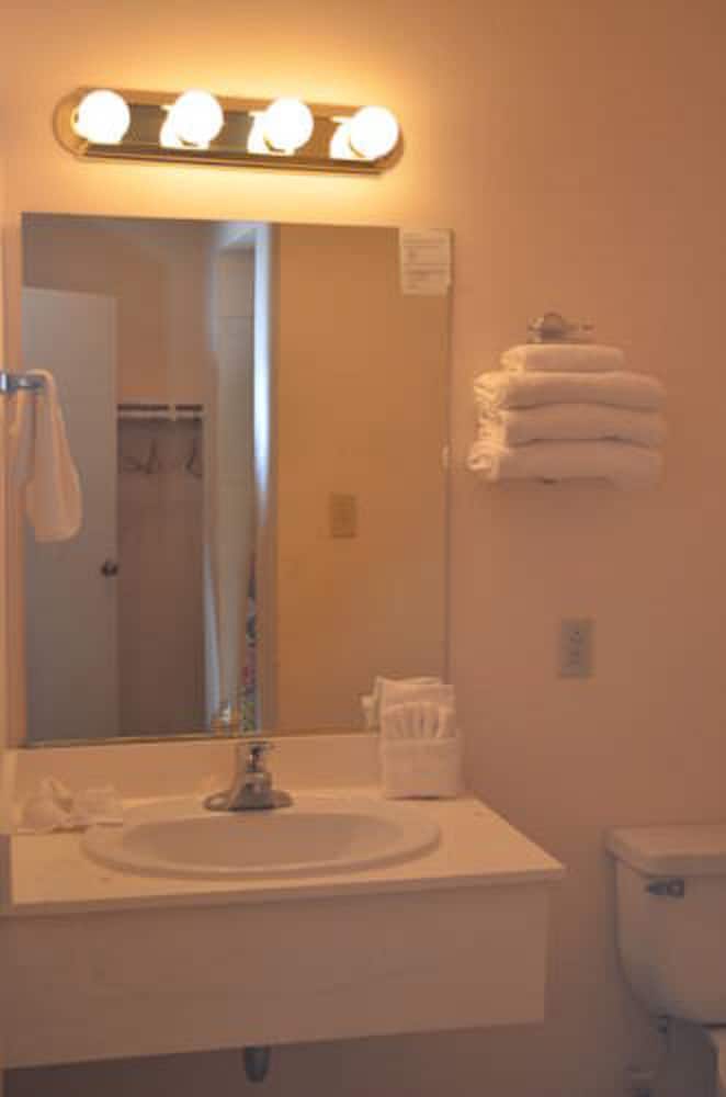 Room, 1 King Bed photo 3