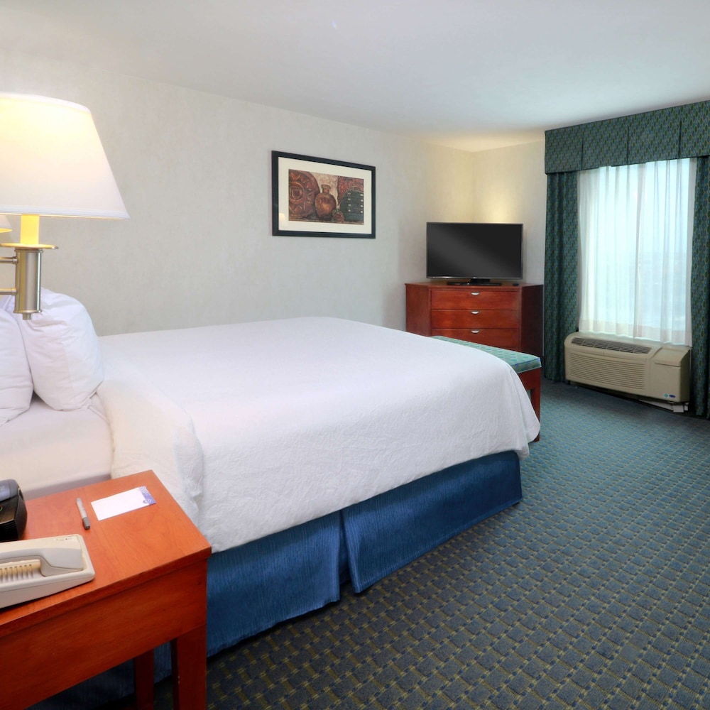 Room, 1 King Bed - Photo 4
