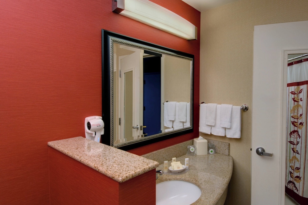 Premium Room, 1 King Bed (Mobility Accessible, Roll-In Shower) photo 2