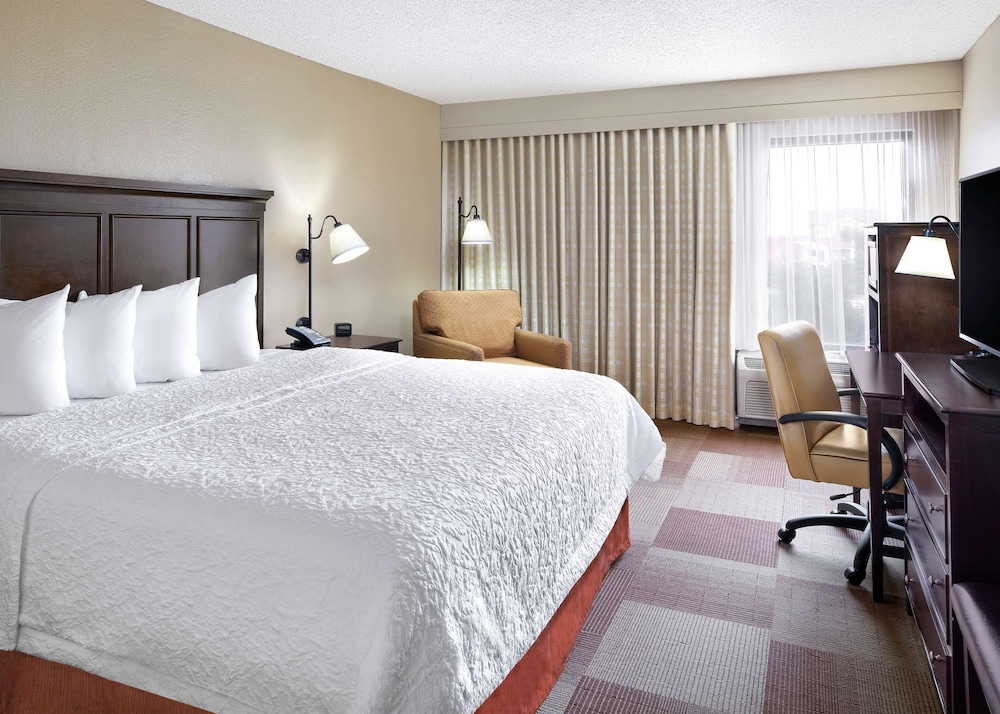 Room, 1 King Bed, Accessible, Bathtub - Photo 3