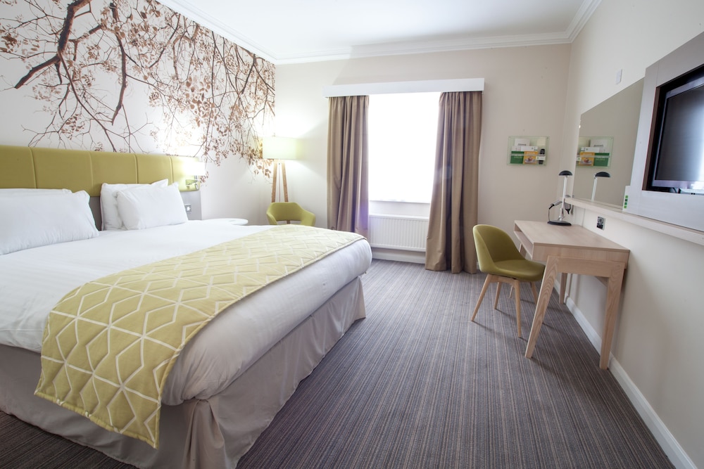 Standard Room, 1 King Bed (Mini Fridge) - Photo 2