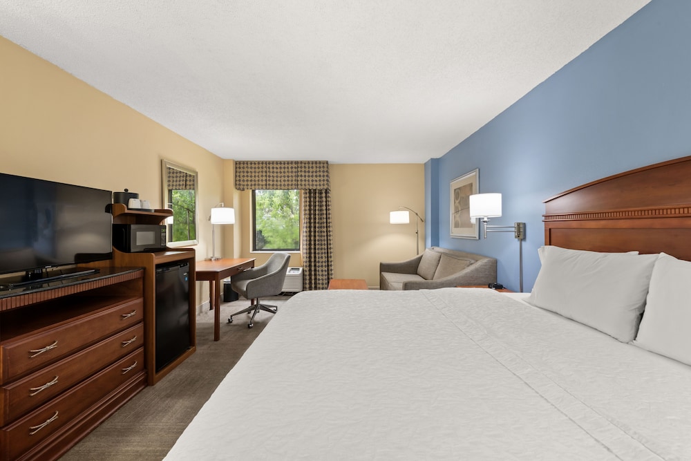 Accessible Room, 1 King Bed (Mobility Bathtub)