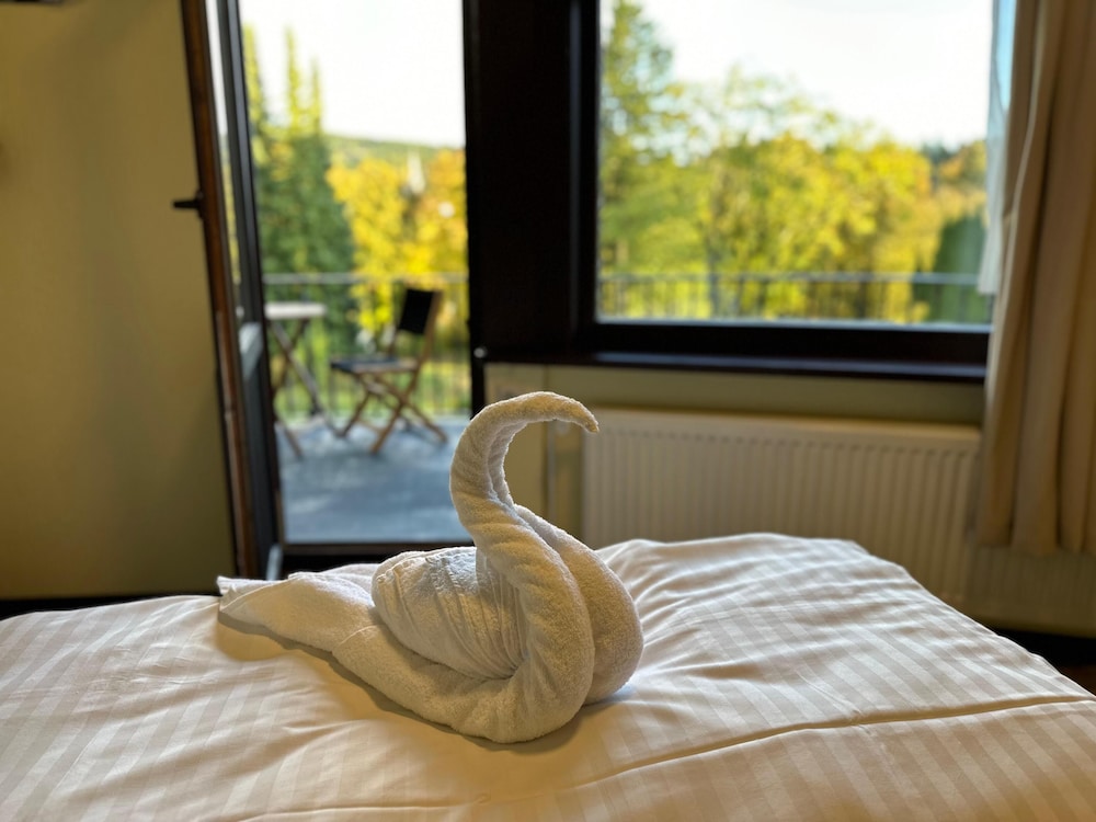 Comfort Single Room, Balcony, Lake View