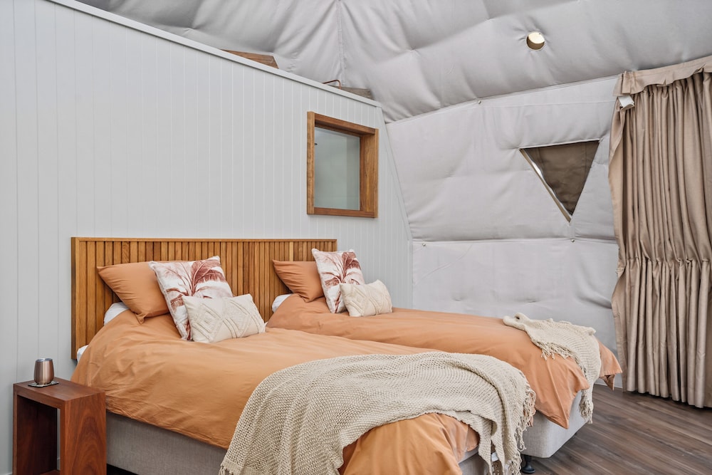 Deluxe Double or Twin Room photo 1