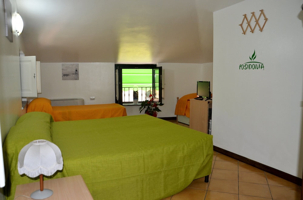 Basic Quadruple Room