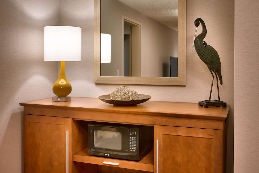 Suite, 1 Bedroom, Accessible, Bathtub - Photo 4