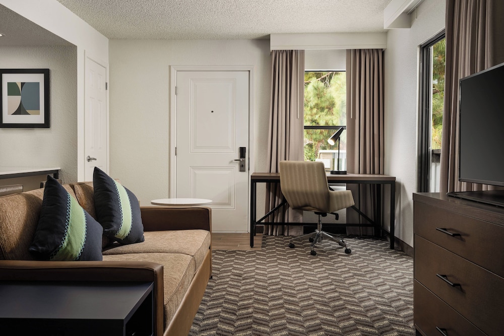 Premium Studio, 1 Queen Bed with Sofa bed photo 2