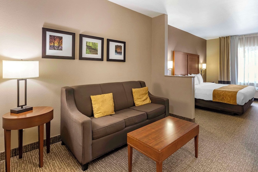Business Room, 1 King Bed with Sofa bed, Accessible, Non Smoking - Photo 2