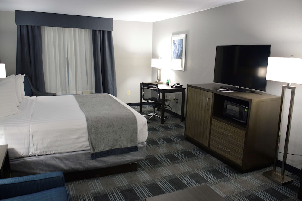 Standard Room, 1 King Bed, Non Smoking, Microwave (with Sofabed) - Photo 3