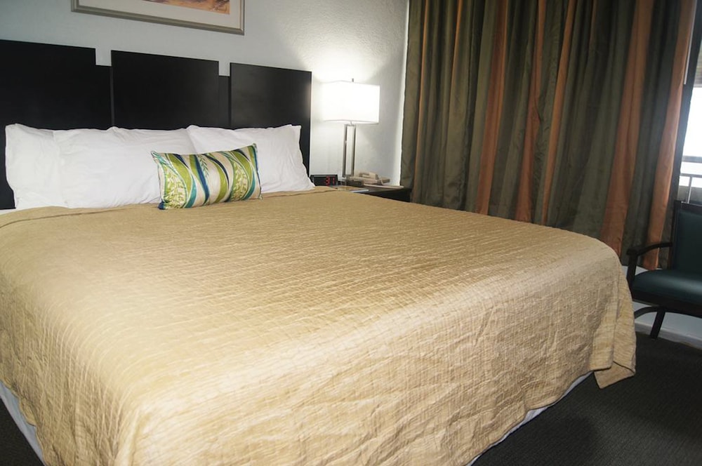 Standard Double Room, 1 King Bed, Non Smoking, Refrigerator & Microwave photo 2