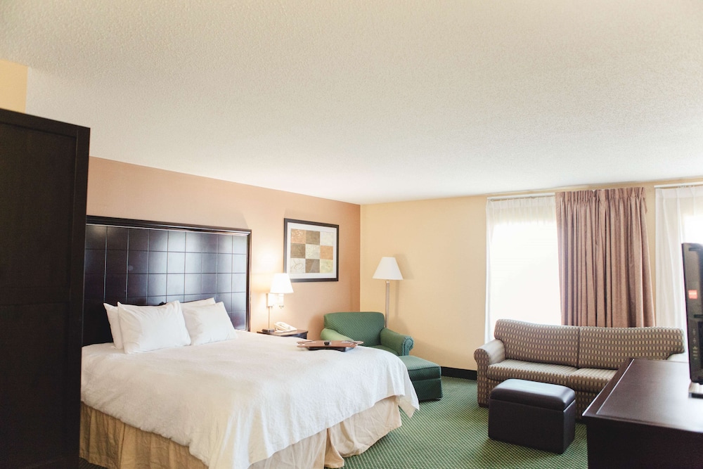 Suite, 1 King Bed, Non Smoking - Photo 1