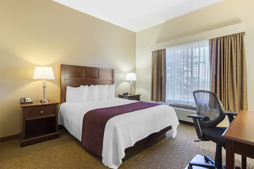 Standard Room, 1 Queen Bed, Accessible, Refrigerator & Microwave