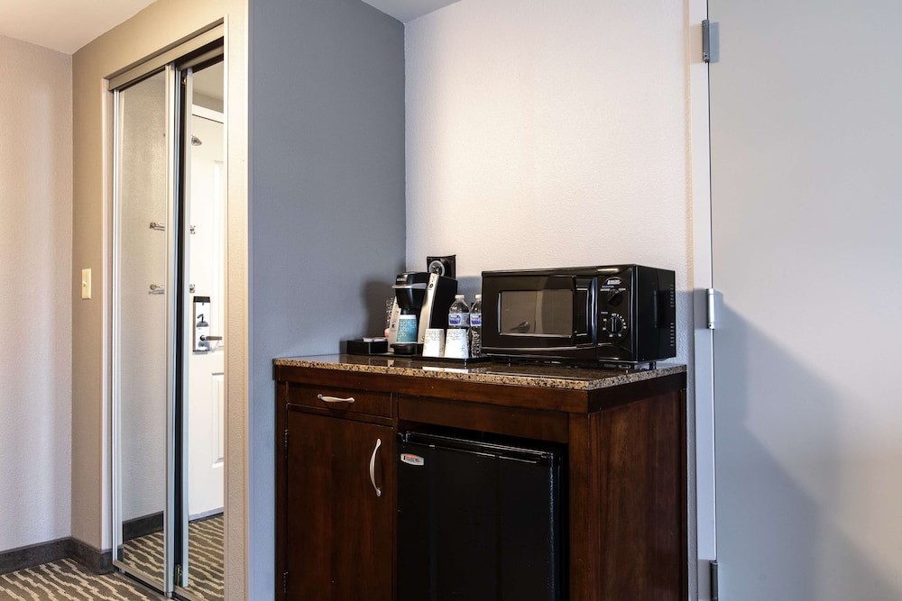 Standard Room, 1 King Bed, Accessible (Roll In Shower) - Photo 4