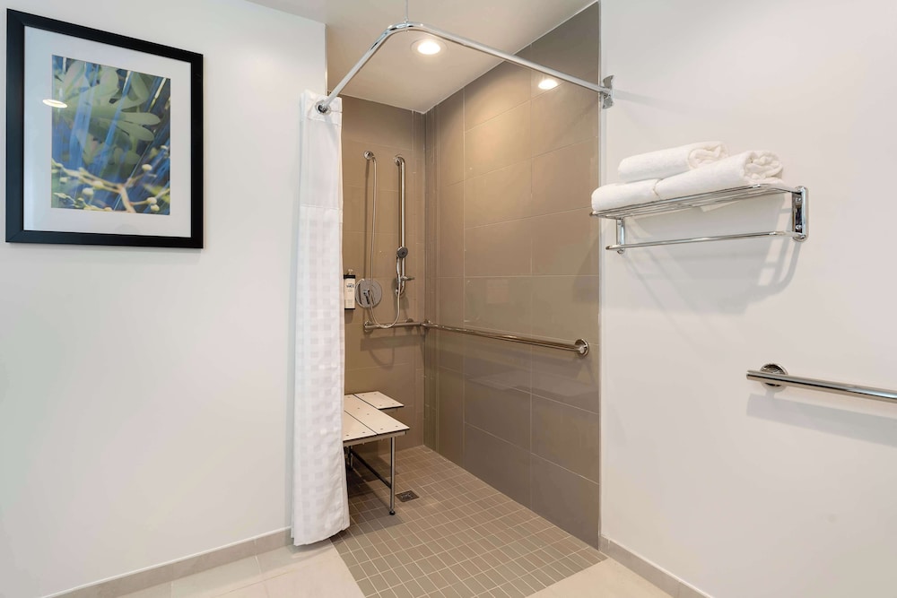 Room, 1 King Bed, Accessible (ADA Shower)