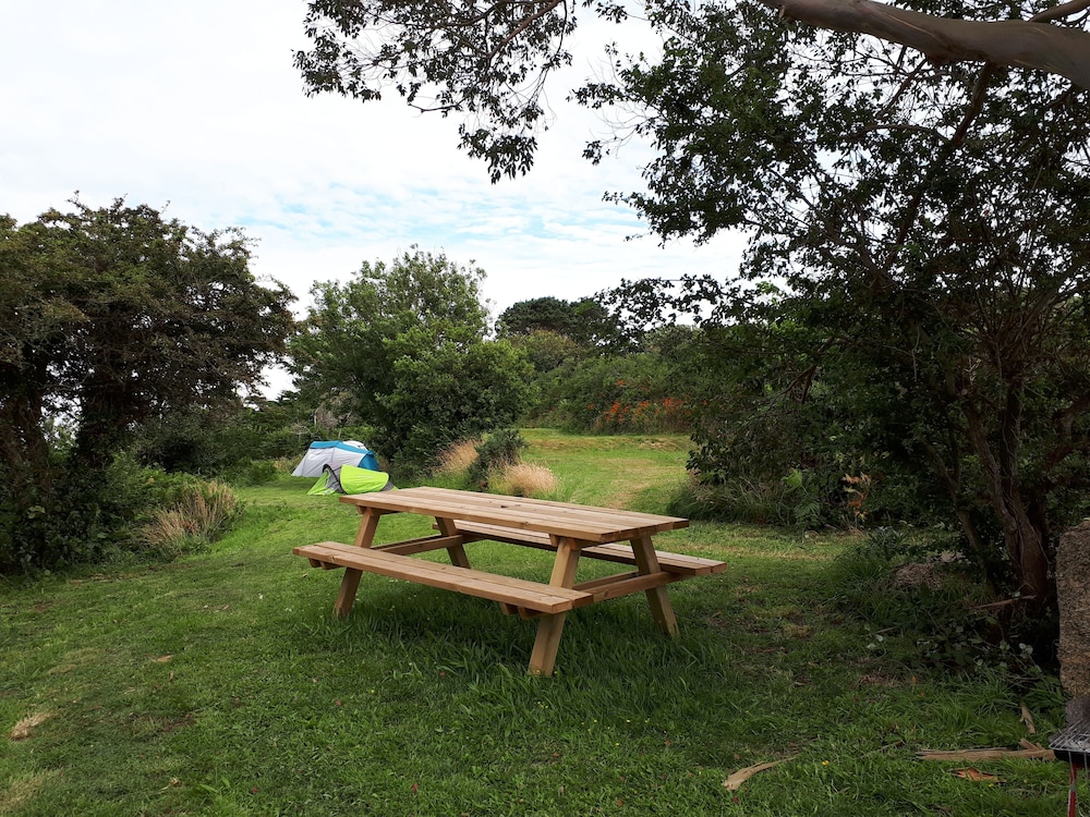 Basic Tent, Ocean View, Garden Area photo 3