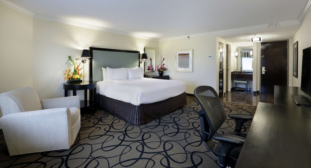 Studio Suite, 1 King Bed (Sweet) photo 1