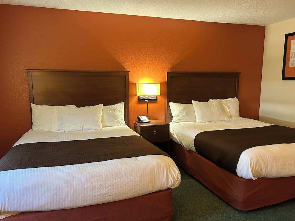 Economy Room photo 3