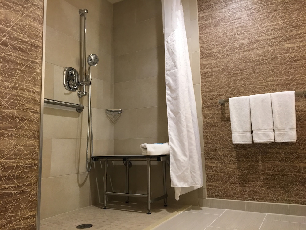 Standard Room, 1 King Bed, Accessible (Roll-In Shower) - Photo 8