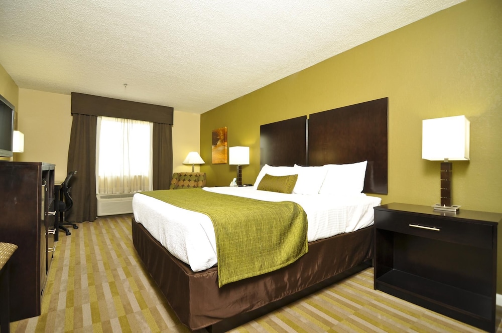 Standard Room, 1 King Bed, Accessible, Non Smoking photo 1
