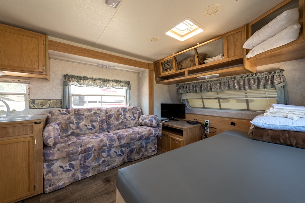 Room, Ensuite (Moon Light Camper) photo 2