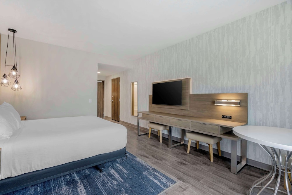 Standard Room, 1 King Bed, Refrigerator & Microwave - Photo 3