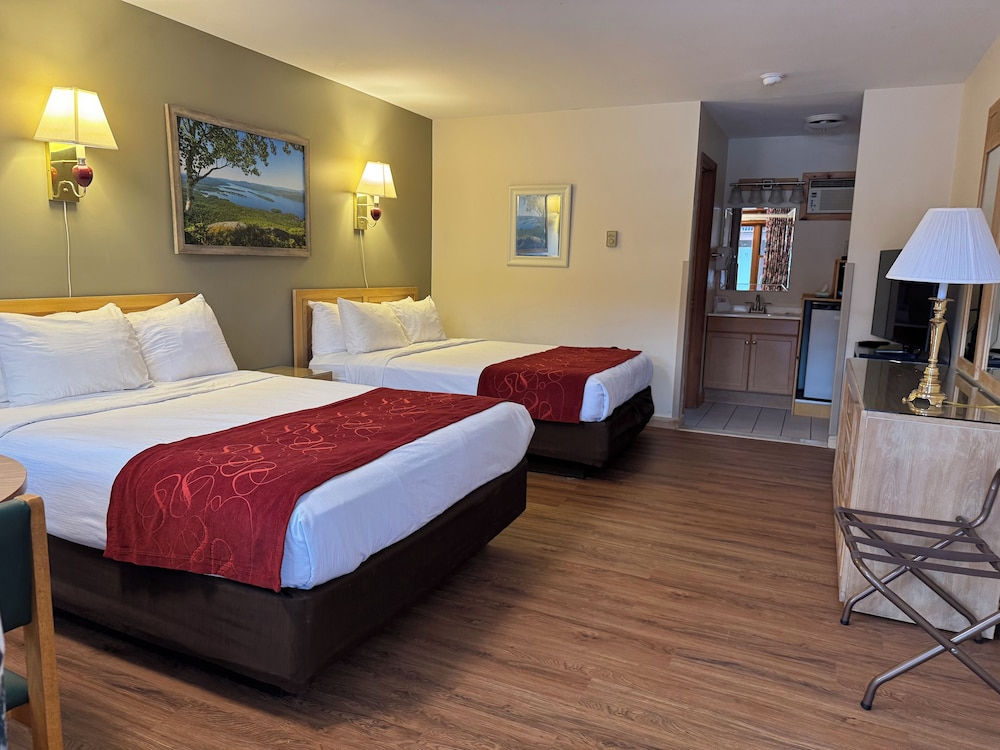 Economy Room photo 1