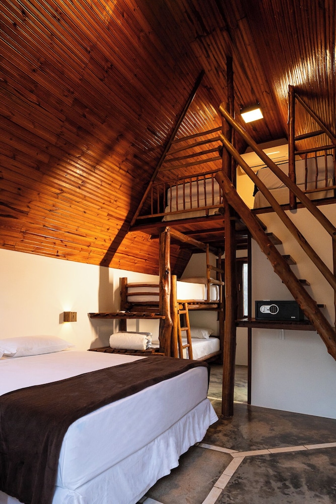 Standard Shared Dormitory photo 1
