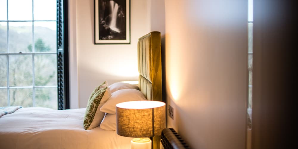 Double Room, 1 King Bed, Valley View photo 3
