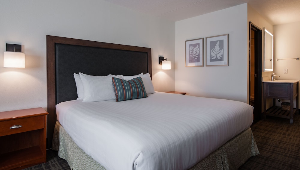 Standard Room, 1 King Bed, Non Smoking, Refrigerator - Photo 7