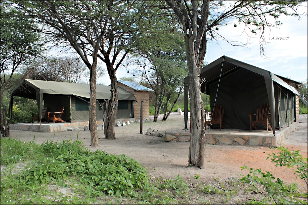Twin Safari Tented Rooms photo 3