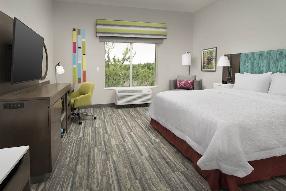 Room, 1 King Bed, Accessible (Mobility & Hearing, Roll-In Shower) - Photo 1