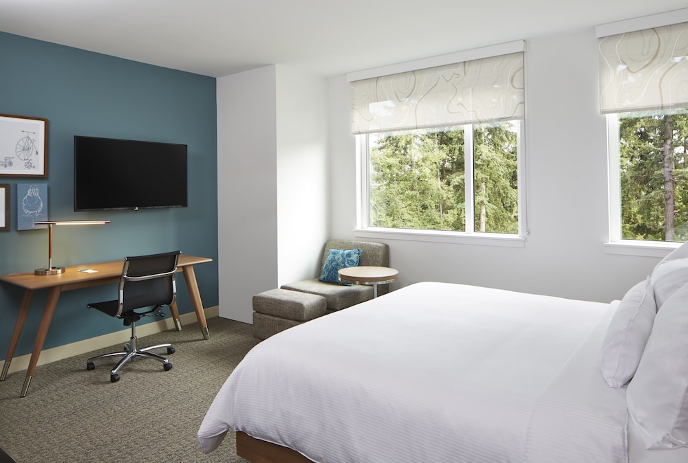 Room, 1 King Bed (Mobility Accessible, Tub)